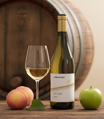 Weiße Rebsorten Wein vor Fass
